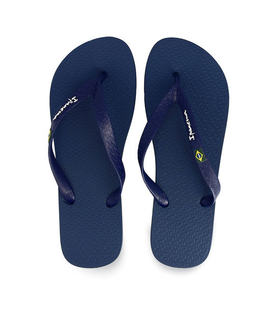 Ανδρικές Σαγιονάρες Θαλάσσης Ipanema 1-780-20301-13 3