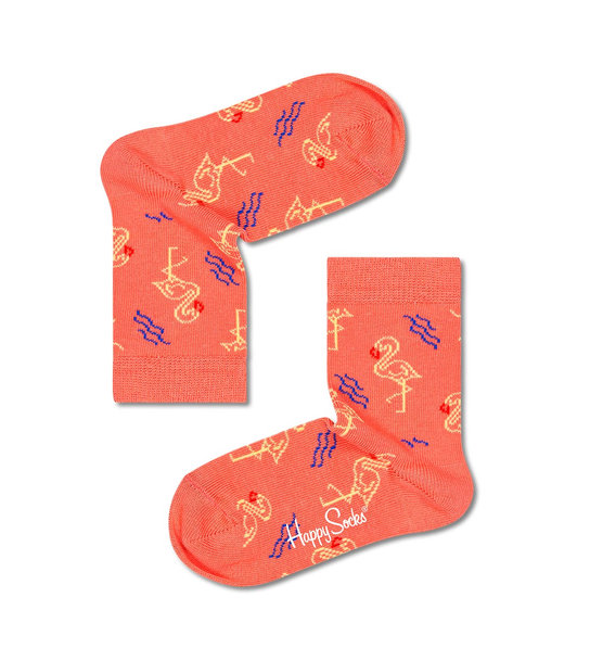 Παιδικές Κάλτσες Happy Socks Kfam01-2700