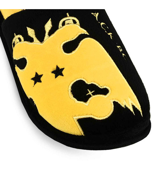 Teens House Slippers ΑΕΚ Bc 10124281