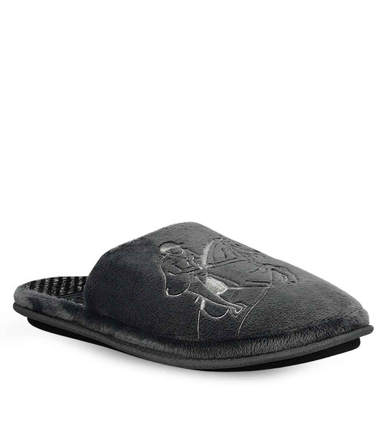 Ανδρικές Παντόφλες Σπιτιού Parex 10126015