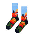 MULTICOLOR