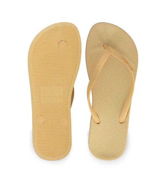 Γυναικείες Σαγιονάρες Θαλάσσης Ipanema 1-780-23315-26