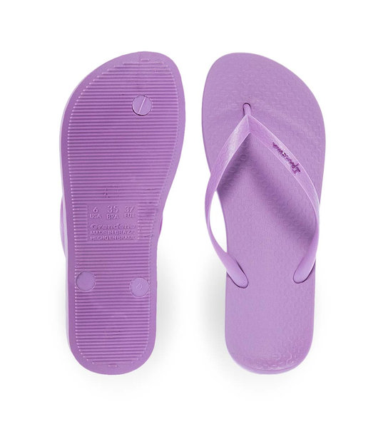 Γυναικείες Σαγιονάρες Θαλάσσης Ipanema 1-780-24317-29