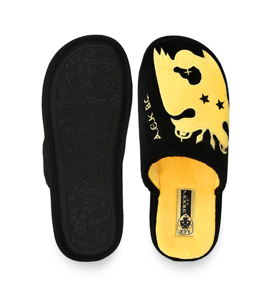 Teens House Slippers ΑΕΚ Bc 10124281